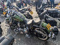 Harley Davidson Softail